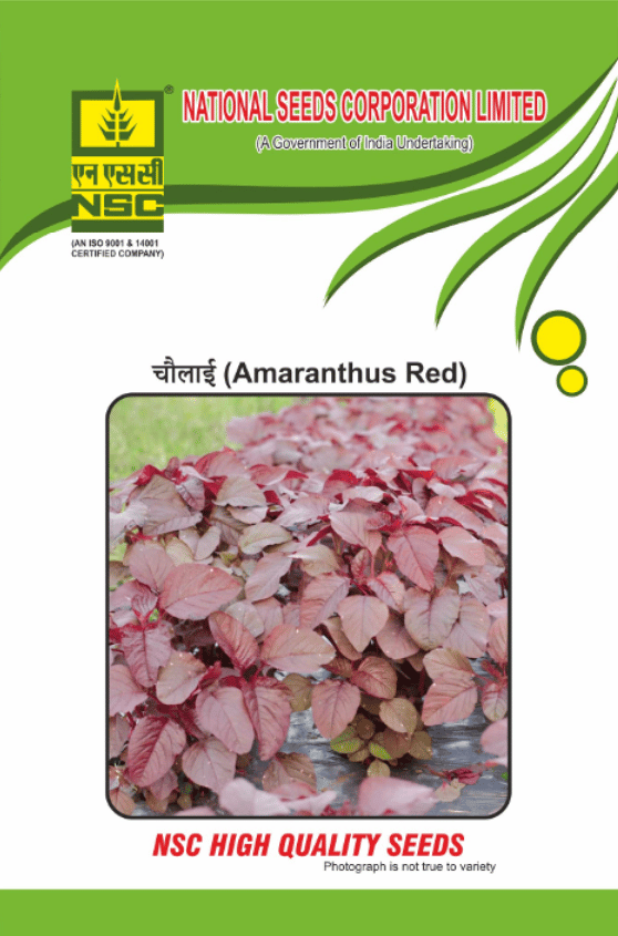 NSC Amaranthus, Variety: Arun Red 50gm TL