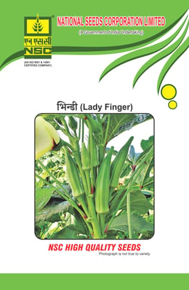 NSC Bhindi AA (Arka Anamika) High Quality Seeds, 50g NSC Bhindi AA (Arka Anamika) High Quality Seeds, 50g