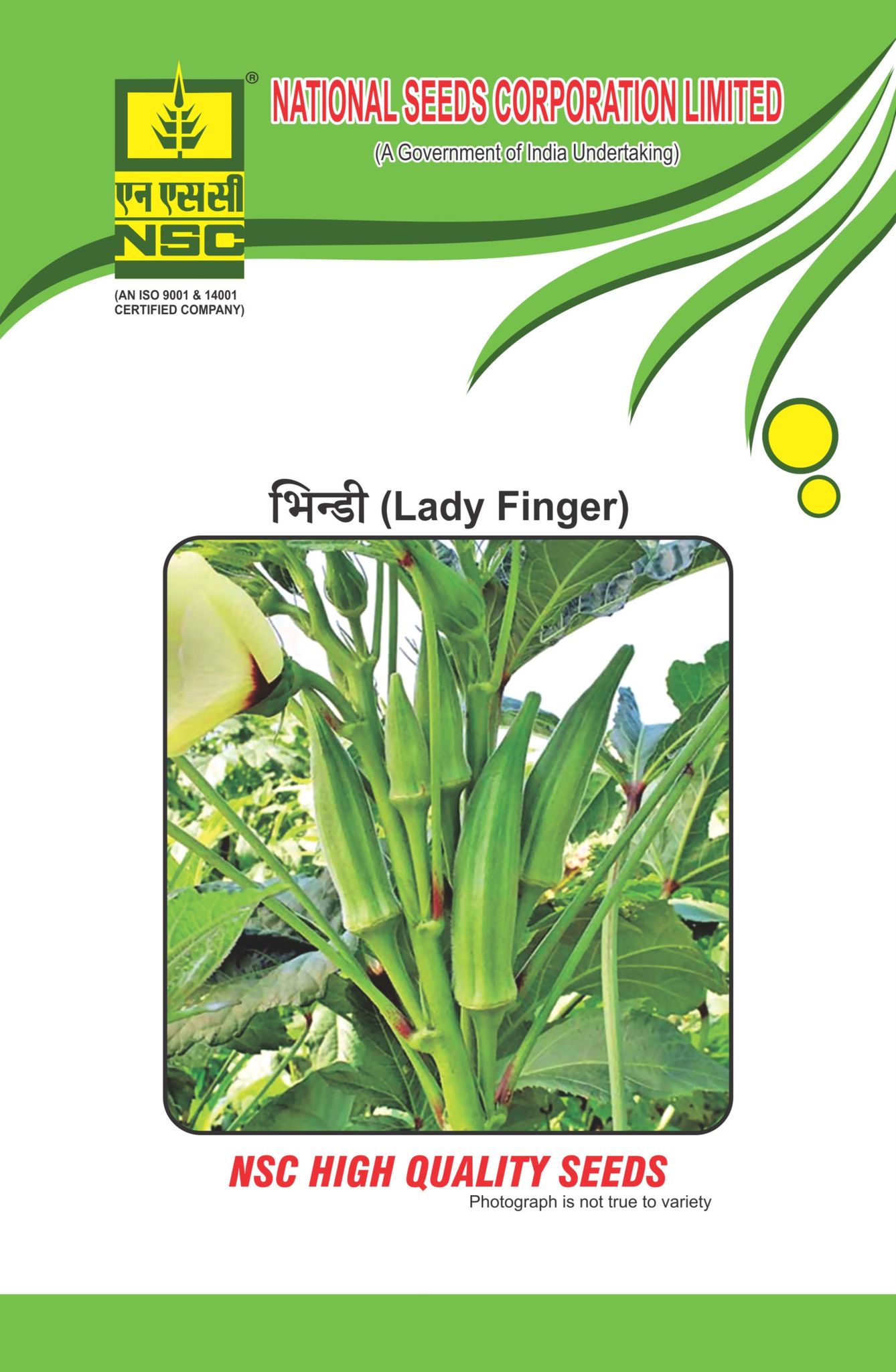 NSC Bhindi AA (Arka Anamika) High Quality Seeds, 50g