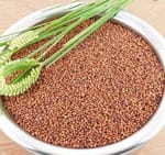 HONNADEVI FARMERS PRODUCER COMPANY LIMITED