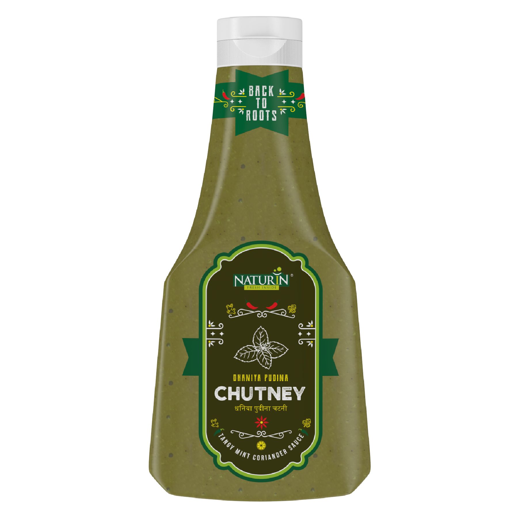 Naturin Dhaniya Pudina Chutney (Green Chatni)