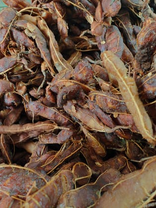 Organic Tamarind