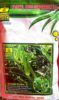 LADYFINGER