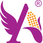 Angel Starch & Food Private Limited