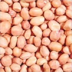 Groundnuts Groundnuts