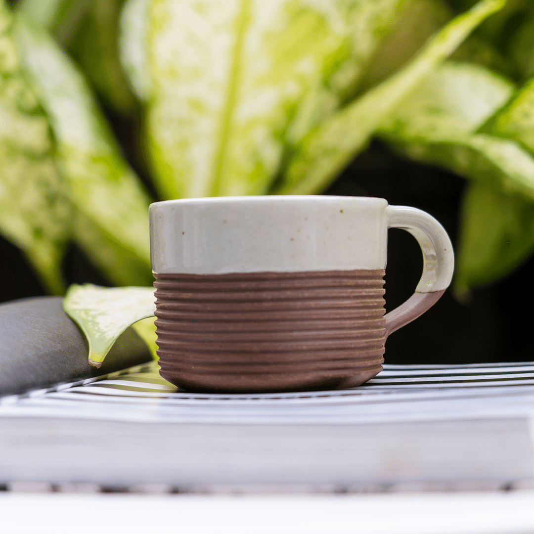 Ribbed Cups