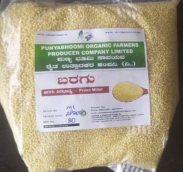 Proso Millets