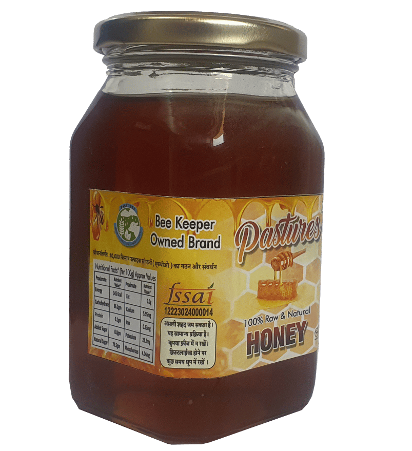 Pastures Khejdi Honey 500gms