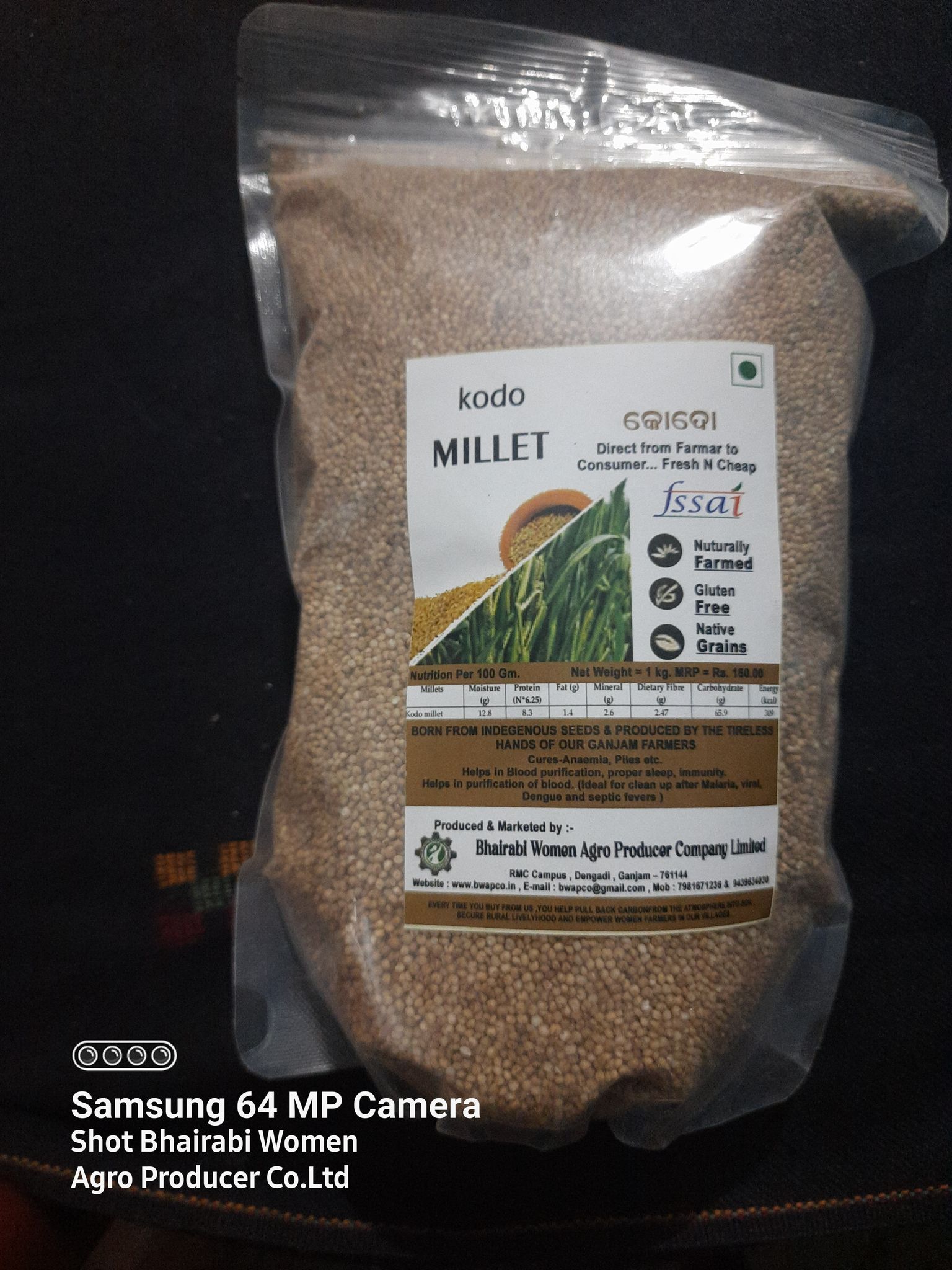 Kodo Millet Grains ( Unpolished grains )