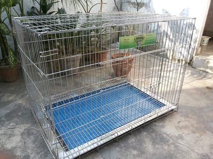 Birds' Park Stainless Steel Dog Cage for Labrador, Gsd, Pug, Poodle and Dalmatian (Large)