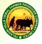 येलगिरी हिल्स ट्राइबल फार्मर प्रोड्यूसर कंपनी लिमिटेड