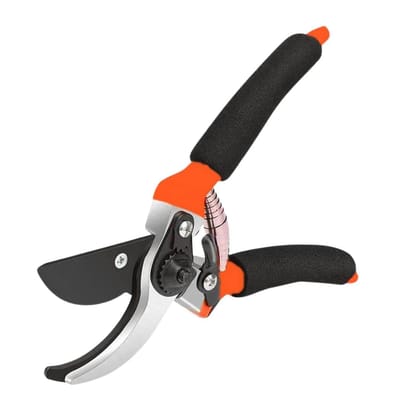 Royalhaat Gardening Scissor Garden Shears Sharp Cutter Pruners Garden Scissor, Plant Cutter with Safety Lock Pruning Seeds with Grip-Handle Flower Cutter, Gardening Scissors, Garden Forks (Multicolor) (MULTI) Royalhaat Gardening Scissor Garden Shears Sharp Cutter Pruners Garden Scissor, Plant Cutter with Safety Lock Pruning Seeds with Grip-Handle Flower Cutter, Gardening Scissors, Garden Forks (Multicolor) (MULTI)