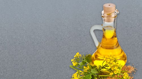Enhance your recipes with pure Mustard oil