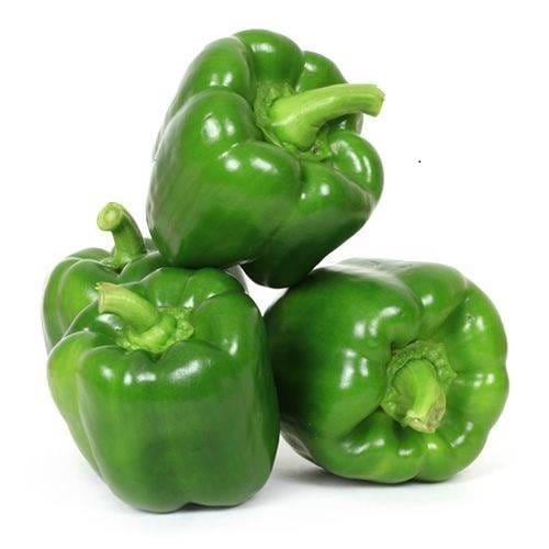 GREEN CAPSICUM