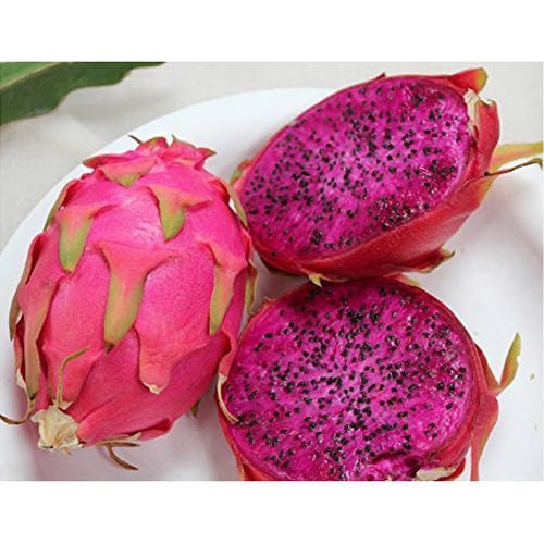 Dragon Fruit