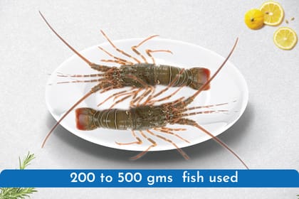 Lobsters Whole clean