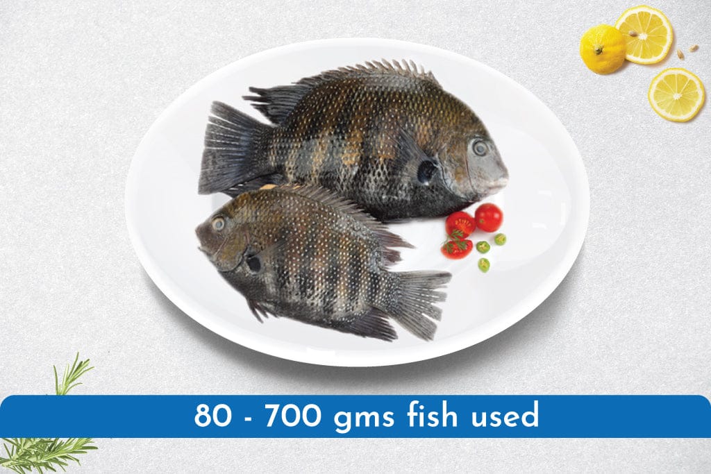 Pearls Spot / Karimeen whole clean