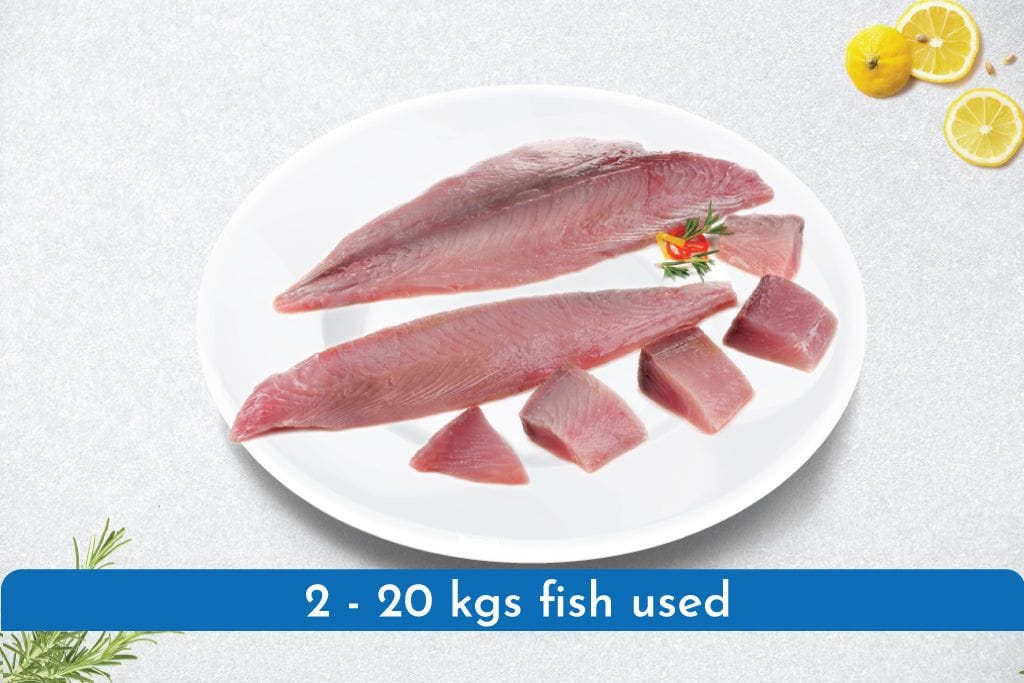 Yellow Fin Tuna Fillets / Loin