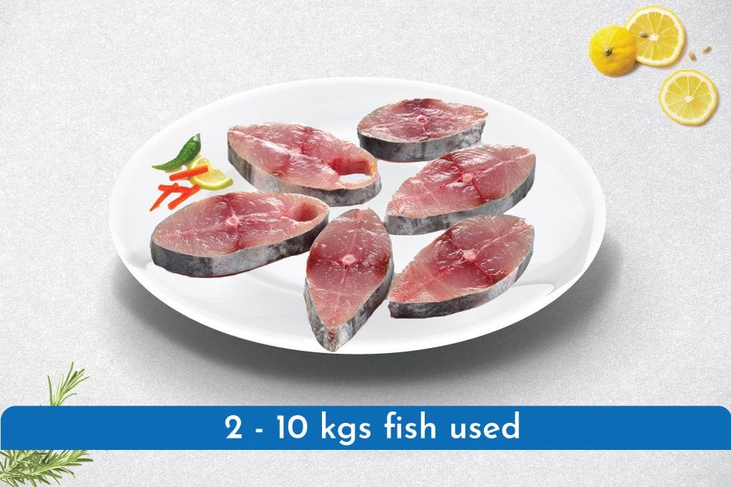 Surmai / Seer Fish Steaks