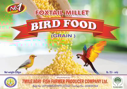 Foxtail Millet Bird Food Grain