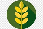 Bathnaha Farmers Producer Company Ltd Bathnaha Farmers Producer Company Ltd