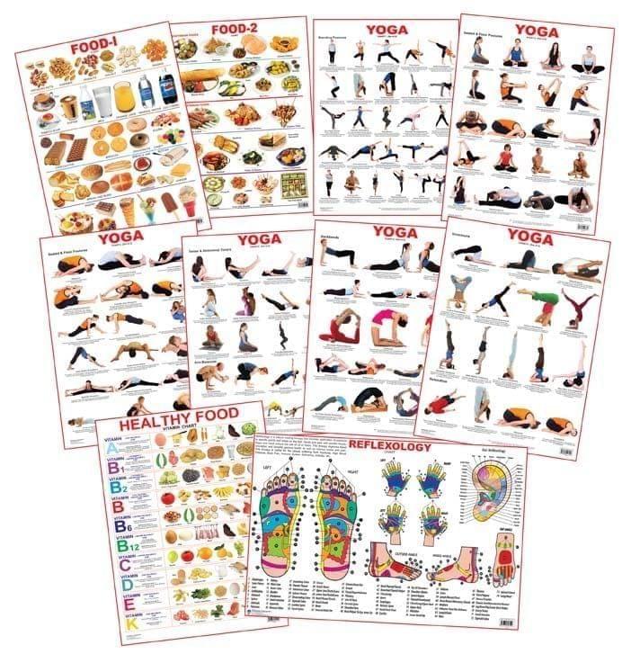 Dreamland Educational Charts - Combo 6 (10 Charts) [Paperback] Dreamland Publications
