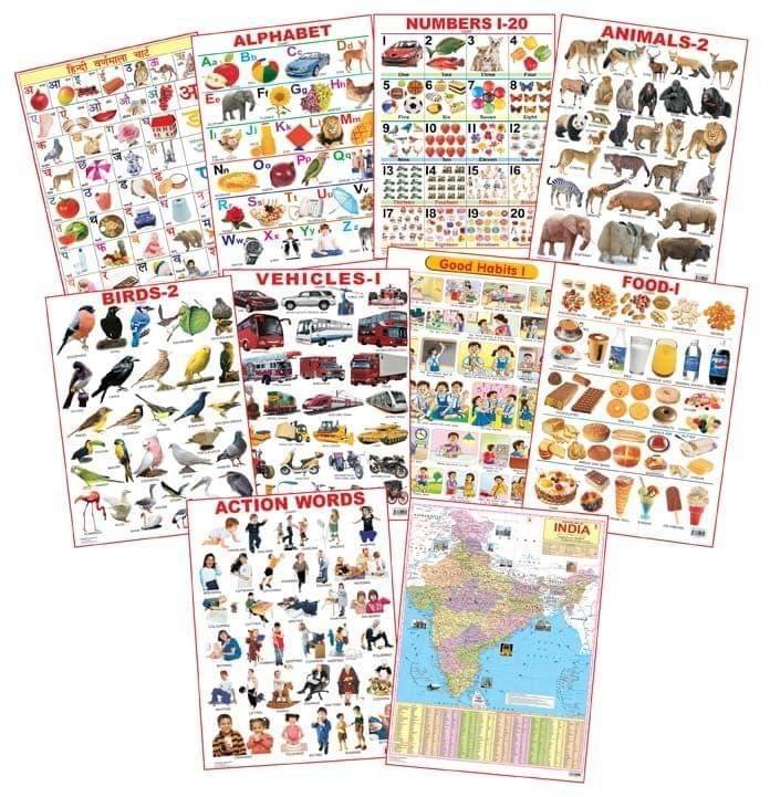 Dreamland Educational Charts - Combo 2 (10 Charts) [Paperback] Dreamland Publications