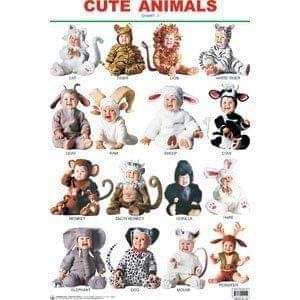 Cute Animals - 1 [Paperback] Dreamland Publications