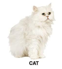 ... ...