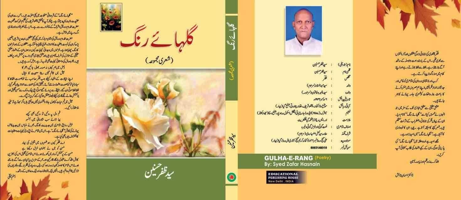 Is Waham Ko Rehne Do [Hardcover] Dr Shaikh Maheboob (Maheboob Saqib) [Hardcover] Dr Shaikh Maheboob (Maheboob Saqib)