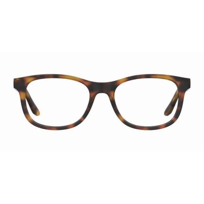 Seventh Street Eyewear Frames (Havana)