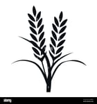 SRI KONDAPOCHAMMA FARMERS PRODUCER COMPANY LIMITED