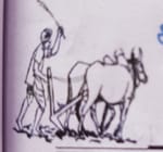 थराली कृषक विकास प्रोड्यूसर कंपनी लिमिटेड