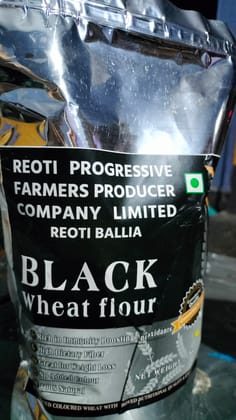 Black wheat
