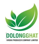 Dolongghat Krishi Producer Company Limited