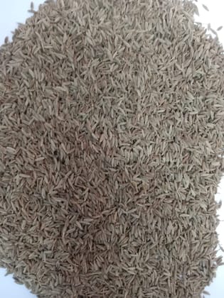 Cumin Whole Cumin Whole