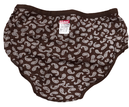 Print Low Rise Hipster Panties