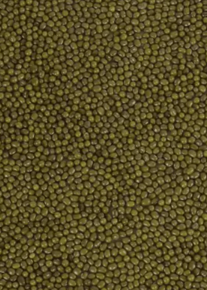 Moong Whole - Moong Sabut Greengram whole