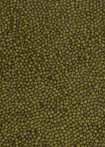 Moong Whole - Moong Sabut Greengram whole