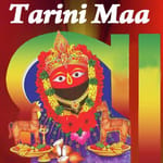 Maa Tarini Toys & Gift Gallery