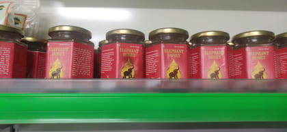 ELEPHANT HONEY