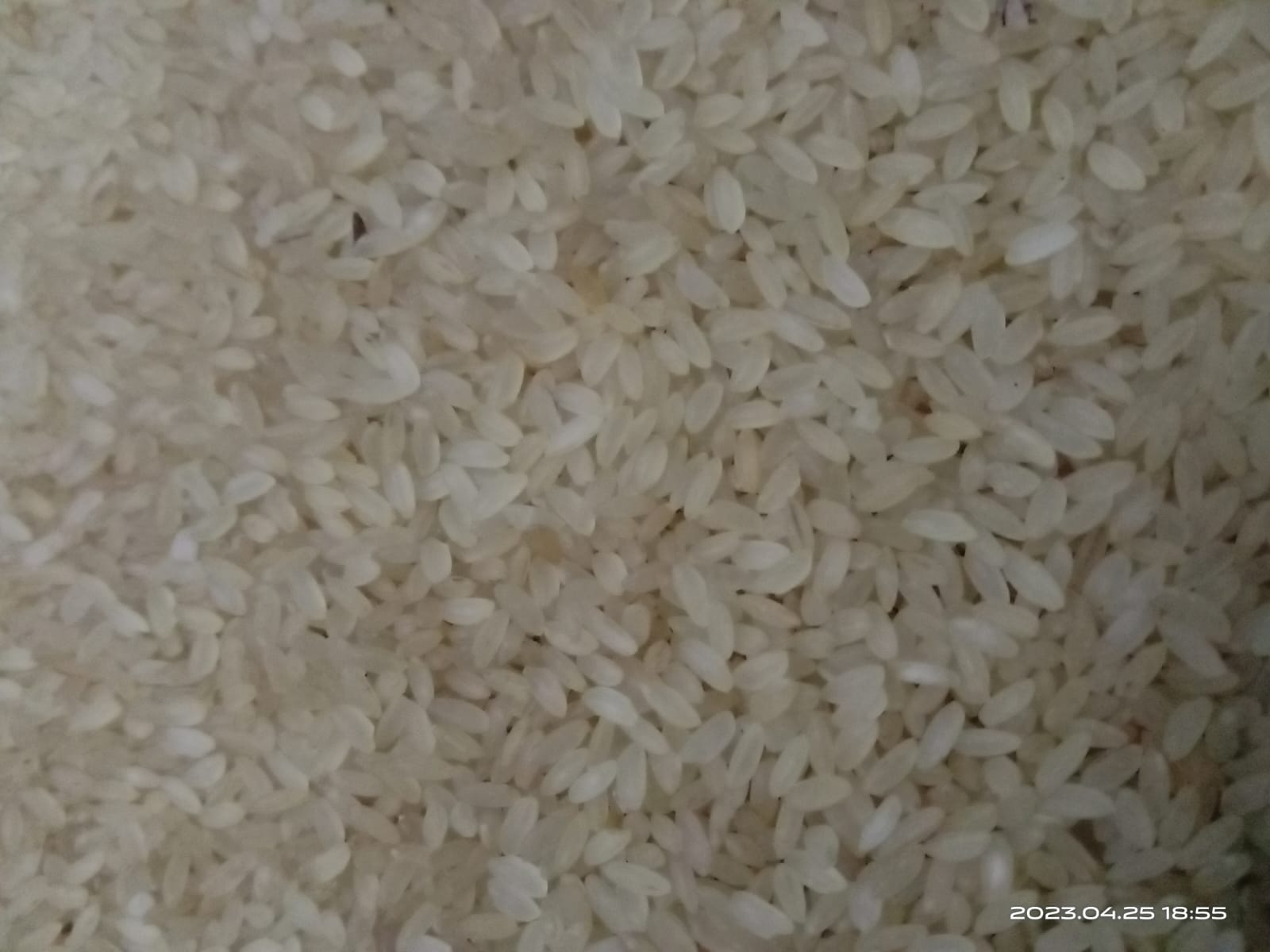 Uzhavan Unavu - Organic Traditional Seeraga Samba Rice (Boiled Rice) 1 year - 1 Kg