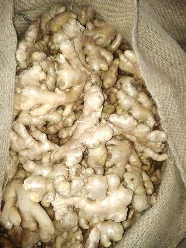 Ginger good quality