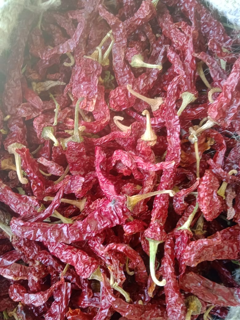 DRY RED CHILLI