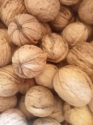 KASHMIRI WALNUT 1000 gm KASHMIRI WALNUT 1000 gm