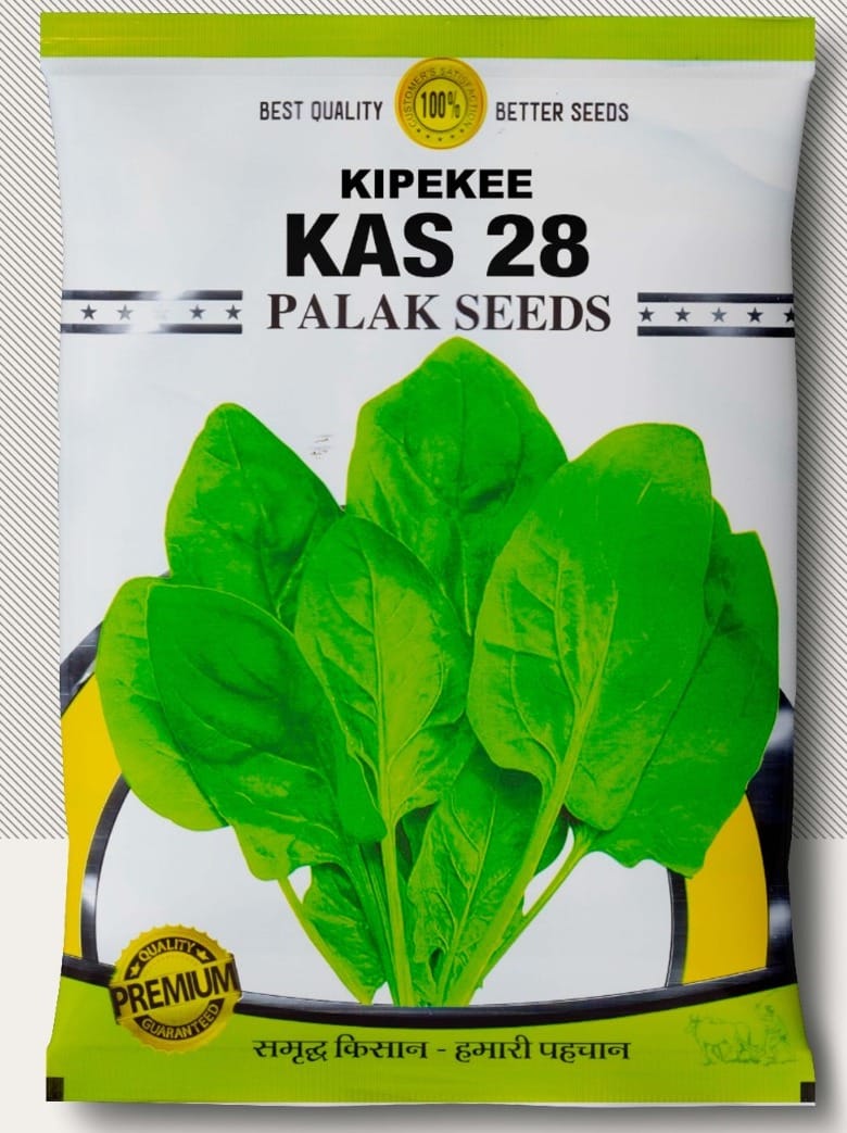 KAS 28 SPINACH SEED