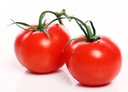 Tomato Fresh Tomato Fresh