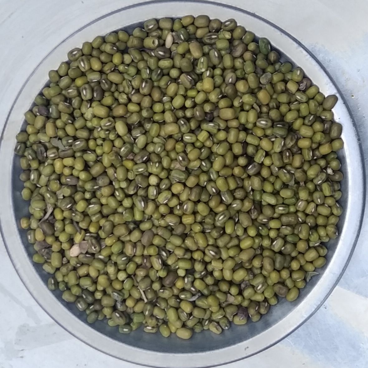 Moong Whole