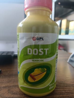 DOST