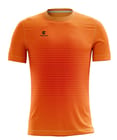 ... ...